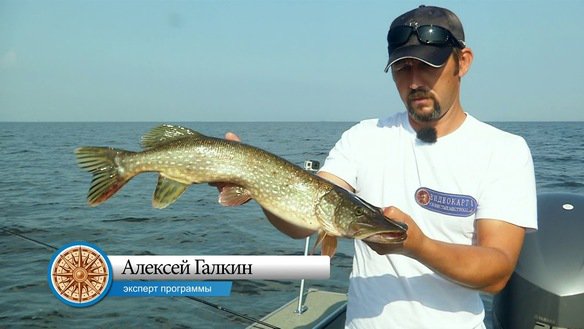 Рыбалка на Рыбинском водохранилище \...