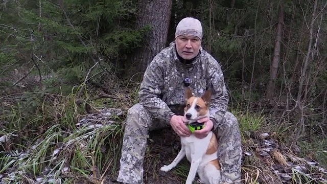 Один в тайге, не считая собаки