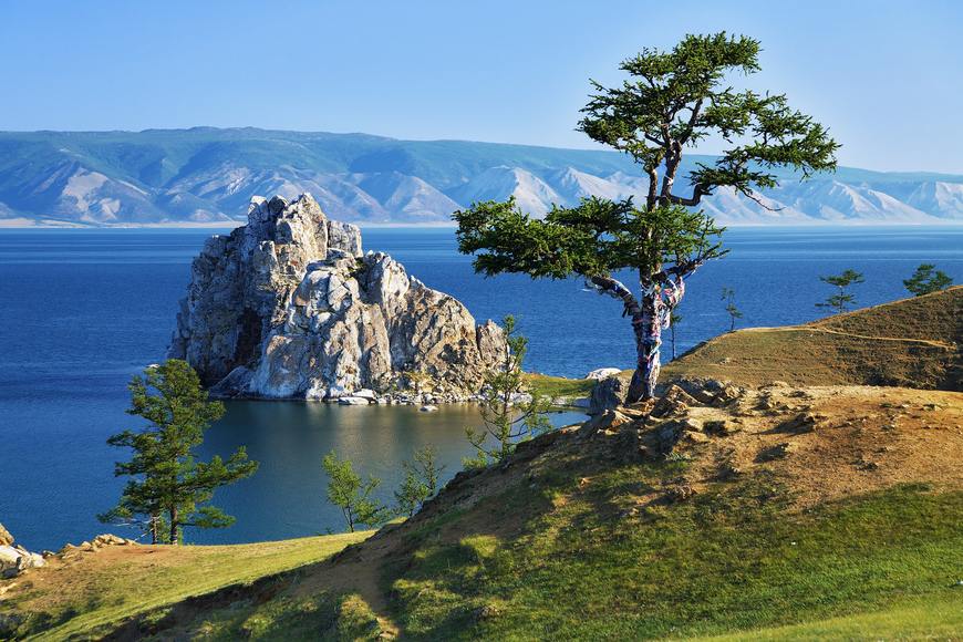 Дерево желаний
