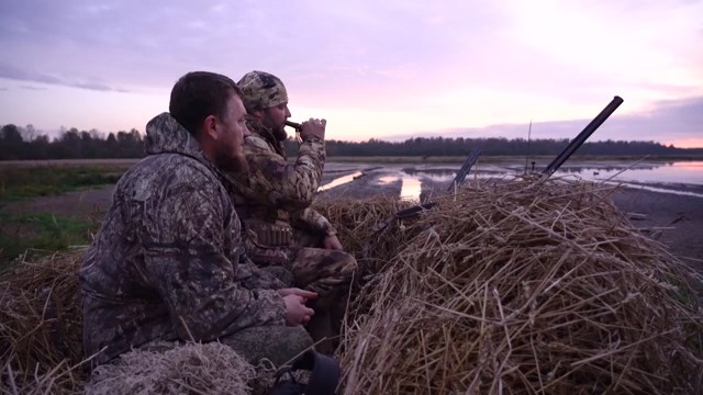 Охота на пернатых и кабана в Новгородской области