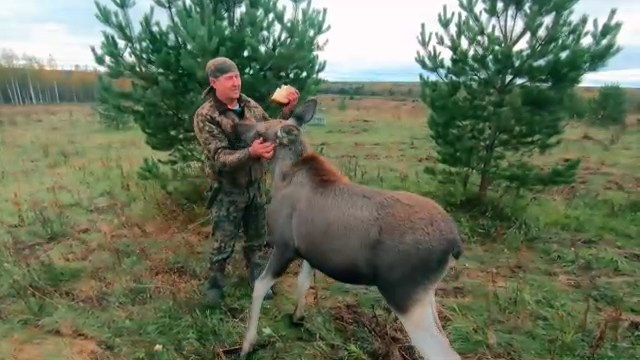 Охота на маршруте