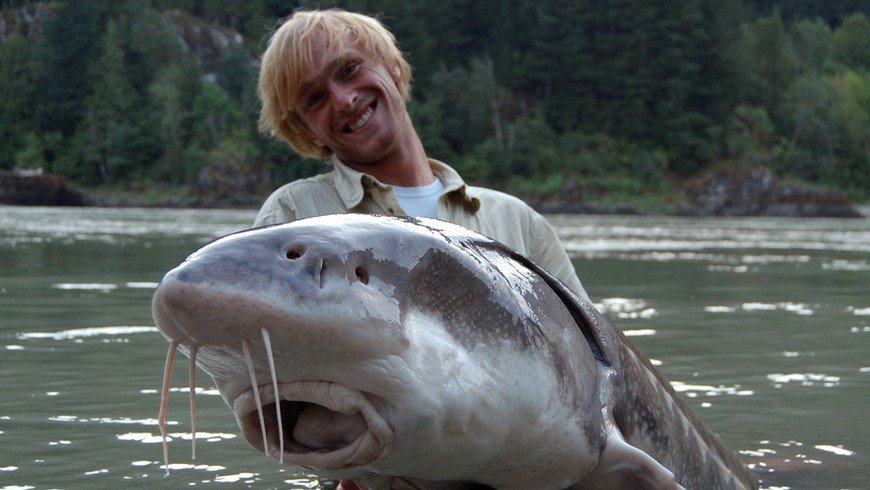 Охотник на пресноводных гигантов