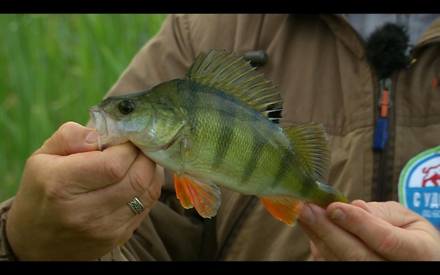 С удочкой по Беларуси