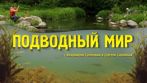 Подводный мир с Владимиром Солоповым и Сергеем Сорокиным