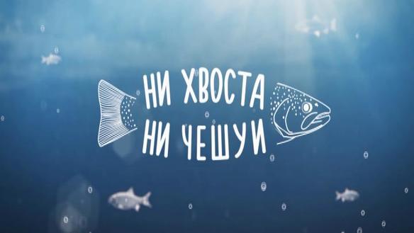 Ни хвоста, ни чешуи. Сезон 3