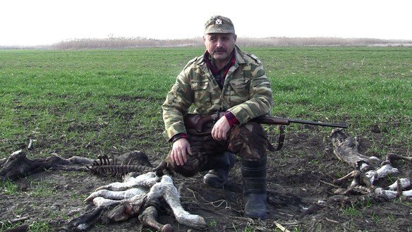Охота на волка в Краснодарском крае....