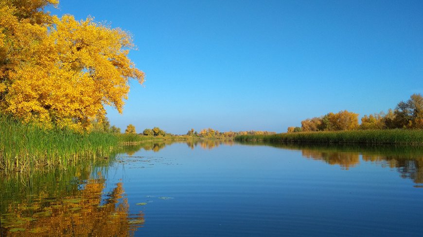 Осенняя Волга