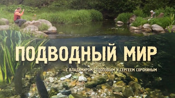 «Подводный мир с В. Солоповым и С. Сорокиным» 2 сезон!