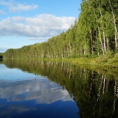 Алена Иванова