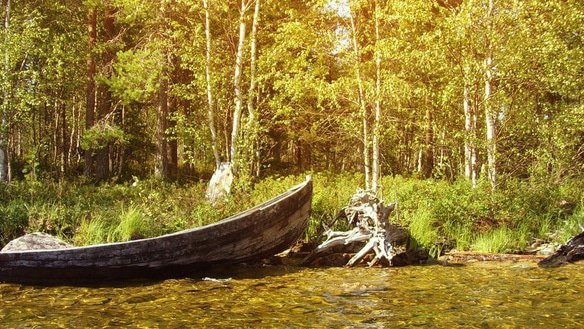 Отчеты о рыбалке в Рузском вдхр - интересная информация для рыболовов